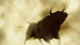 bull run